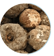Konjac extract fiber glucomannan element for appetite regulation
