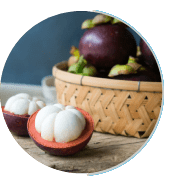Mangosteen powder tropical fruit extract for healthy glucose metabolism