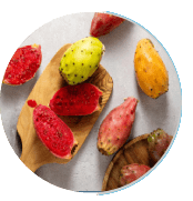 Prickly Pear extract cactus botanical component for glowing skin