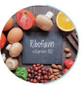 Riboflavin vitamin b2 component for cellular energy production